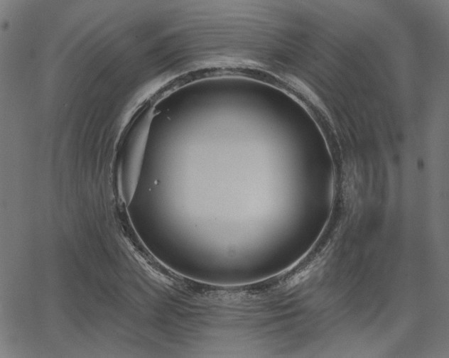 X0000065990831200603031153