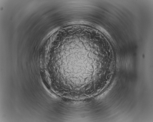 X0000065990849200603031153