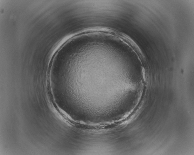 X0000065990860200603031154