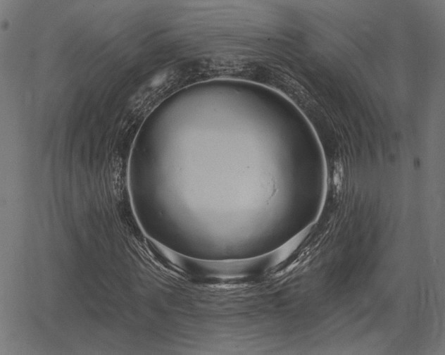 X0000065990867200603031153