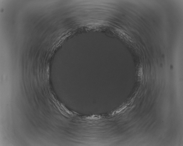 X0000065990868200603031153