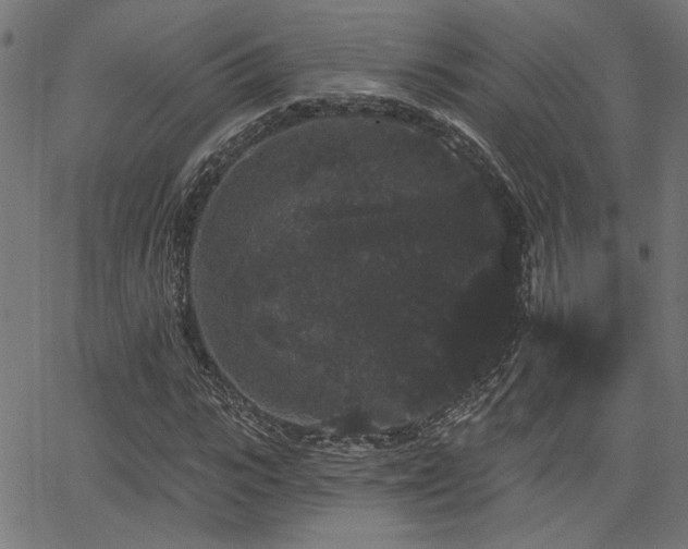 X0000065990919200603031151