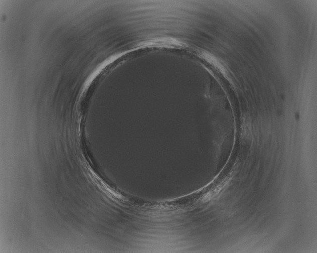 X0000065990923200603031151