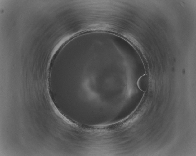 X0000065990941200603031152