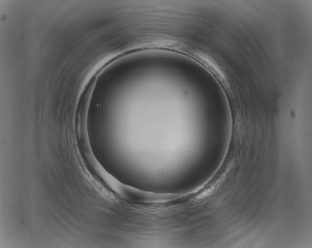 X0000065990948200603031152