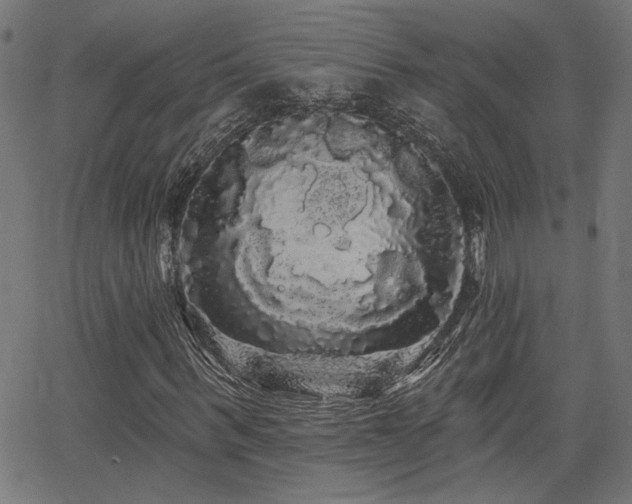 X0000065990963200603031151