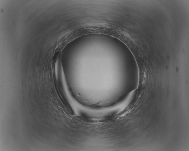 X0000065990965200603031151