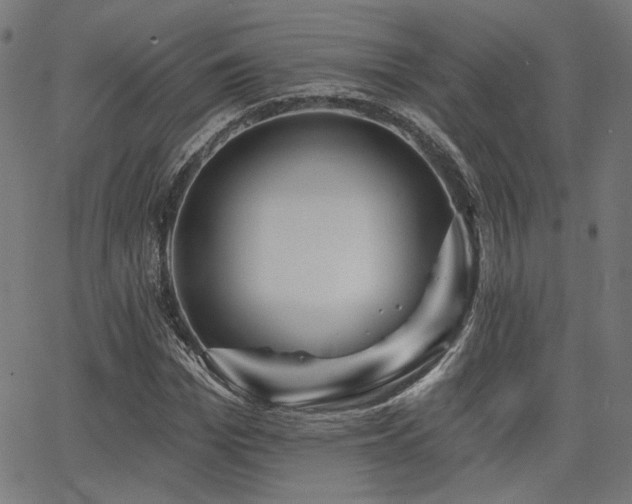 X0000065990969200603031151