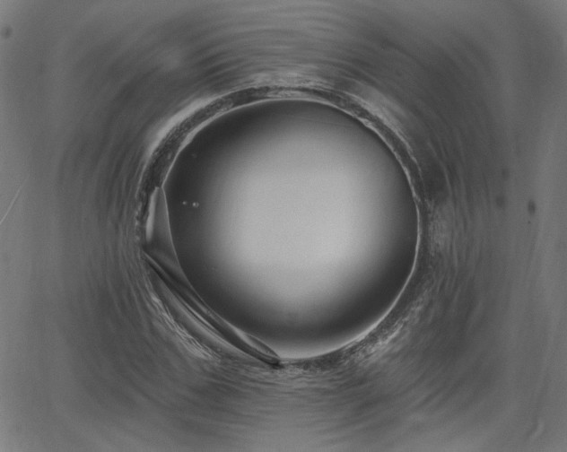 X0000065990971200603031151