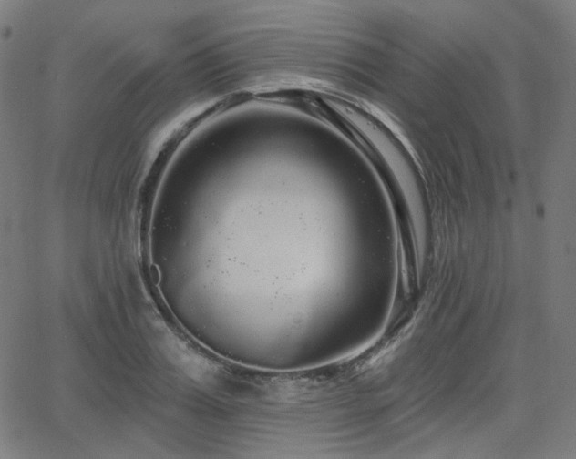 X0000065990987200603031151