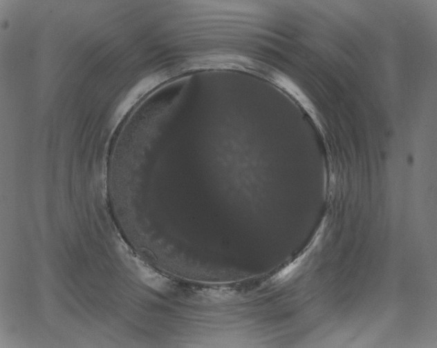 X0000065990994200603031151