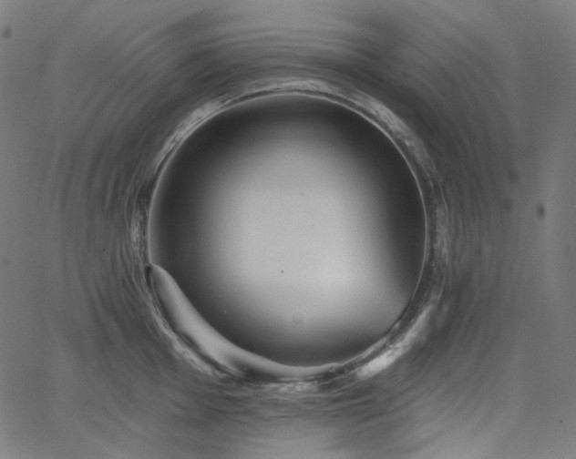 X0000065991001200603031151