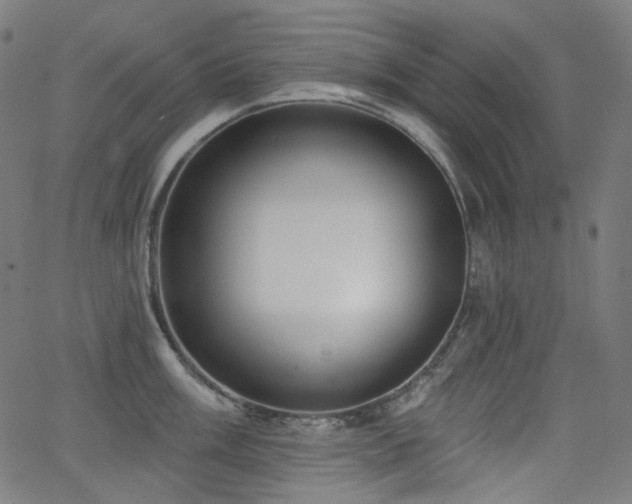 X0000065991003200603031151