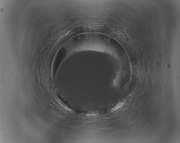 X0000065991009200603031150