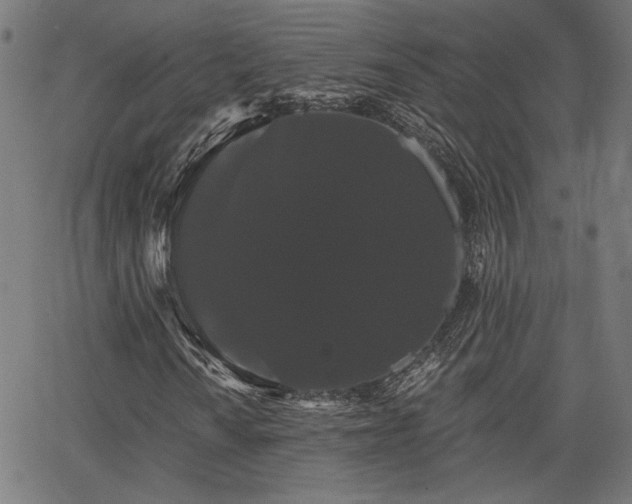 X0000065991010200603031150