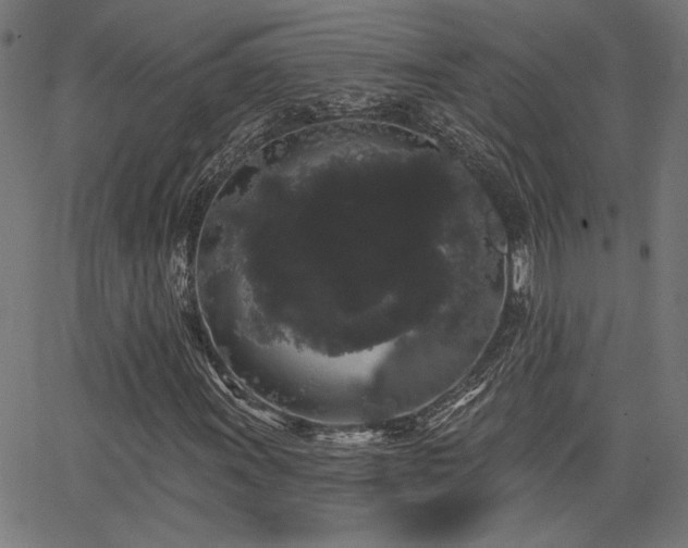 X0000065991011200603031150