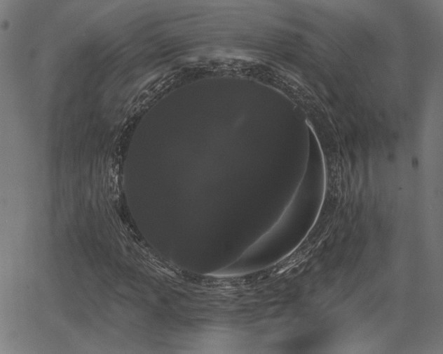 X0000065991013200603031150