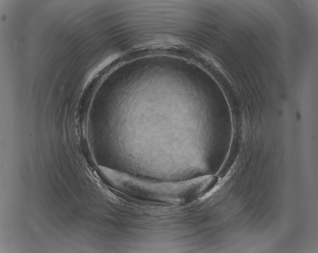 X0000065991018200603031150