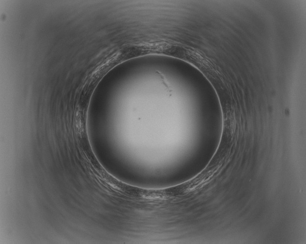X0000065991058200603031150