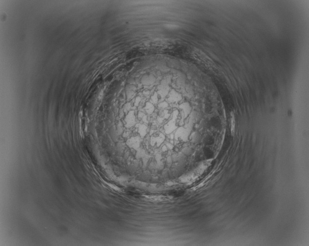 X0000065991059200603031150