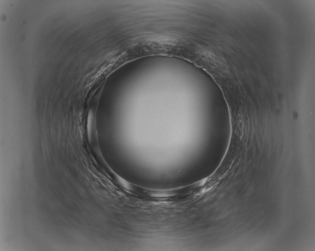 X0000065991061200603031150