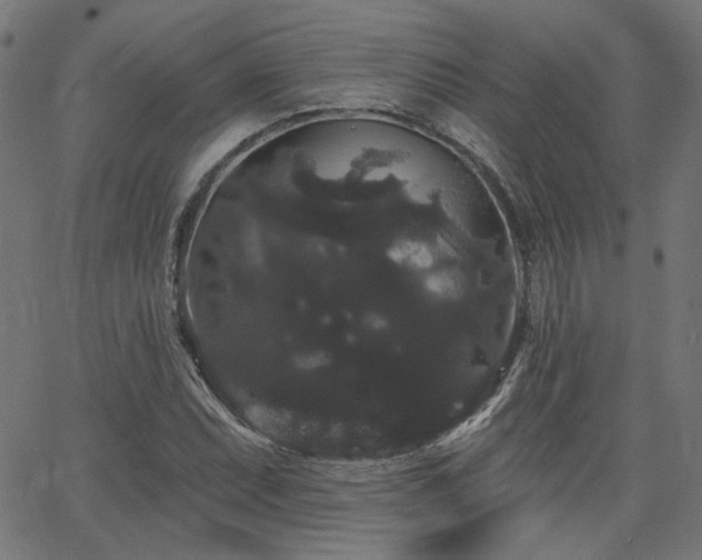 X0000065991071200603031149