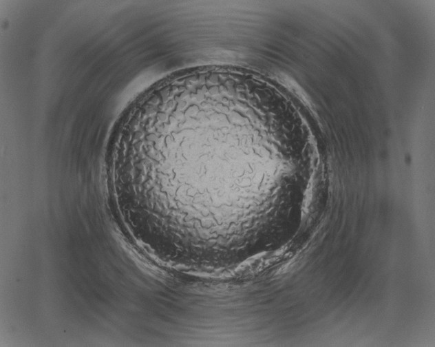 X0000065991072200603031149