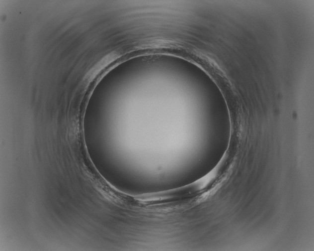 X0000065991073200603031149