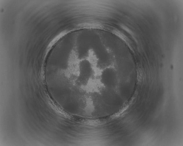X0000065991074200603031149