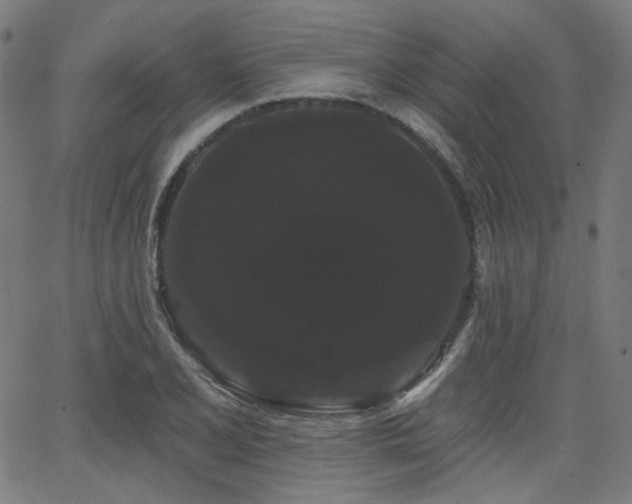 X0000065991077200603031149