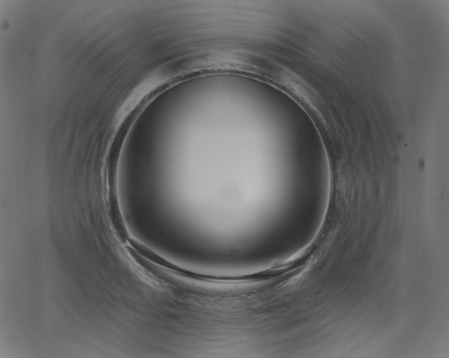 X0000065991082200603031149
