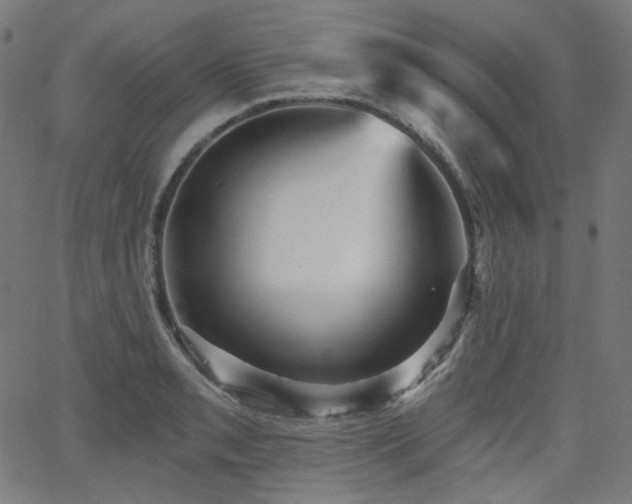X0000065991085200603031149