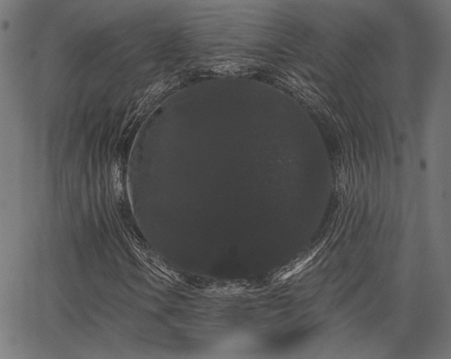 X0000065991106200603031148