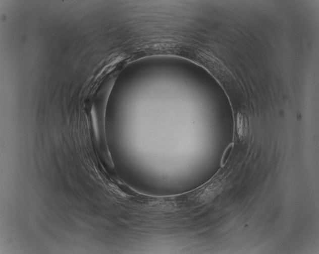 X0000065991107200603031148