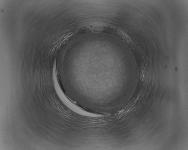 X0000065991108200603031148