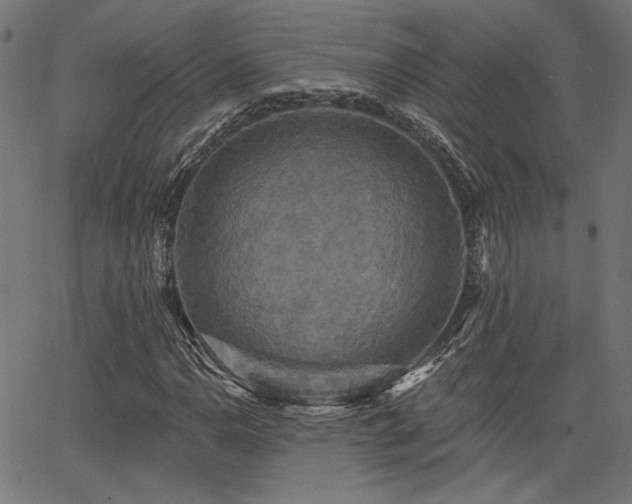 X0000065991110200603031148