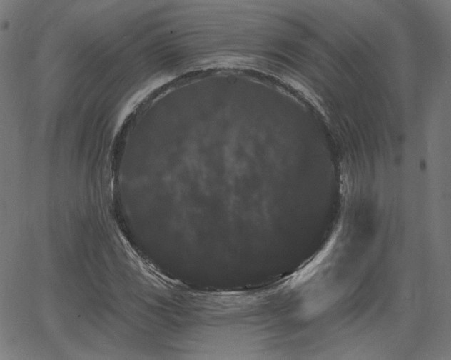 X0000065991117200603031148