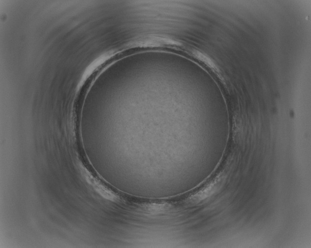 X0000065991122200603031148