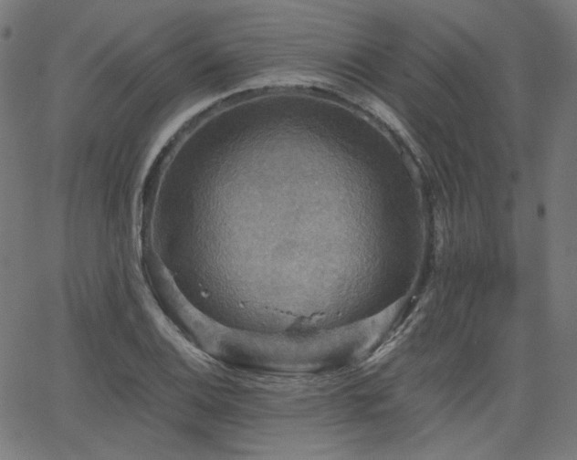 X0000065991124200603031148