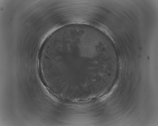 X0000065991125200603031149