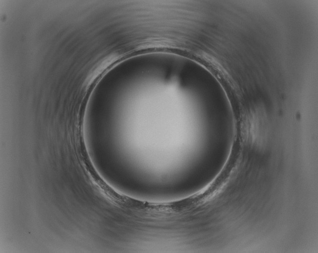 X0000065991129200603031149