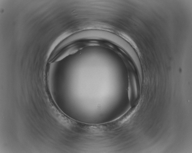 X0000065991138200603031149