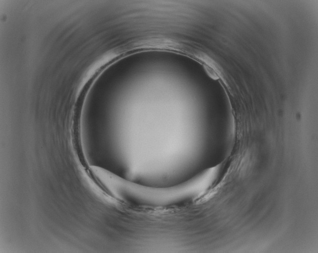 X0000065991139200603031149