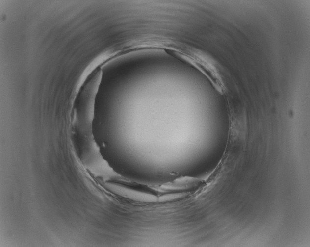 X0000065991146200603031149