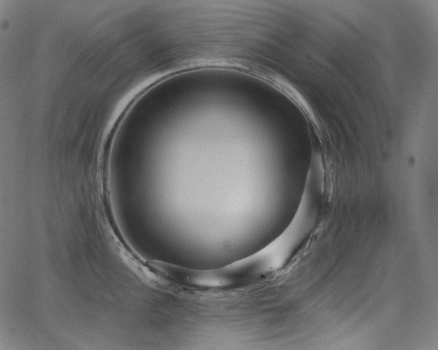X0000065991148200603031149