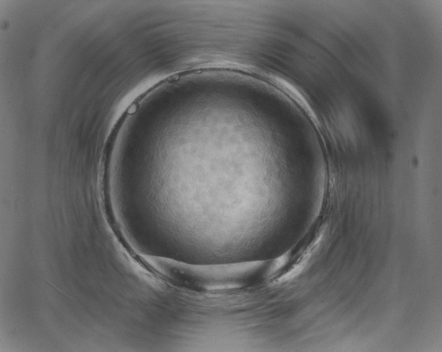 X0000065991149200603031149