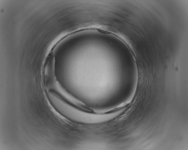 X0000065991151200603031149