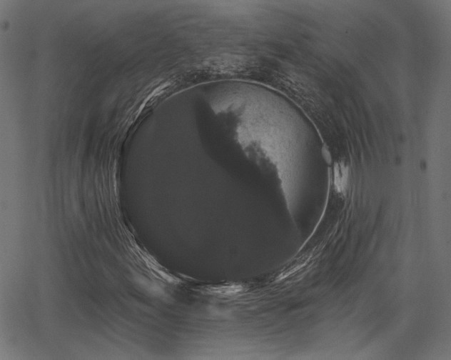 X0000065991155200603031148
