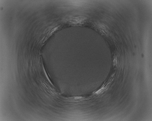 X0000065991156200603031148