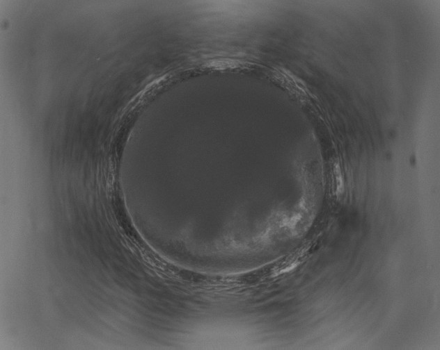 X0000065991158200603031148
